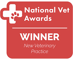 national_vet_awards_winner